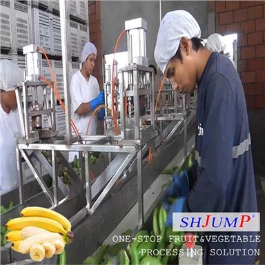 Lini Pengolahan Pure Pisang