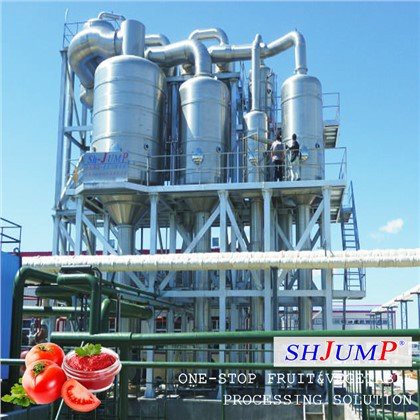 Garis Pemrosesan Pasta Tomat