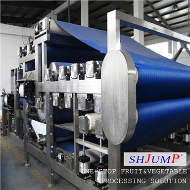 Ekstraktor Jus Tipe Sabuk