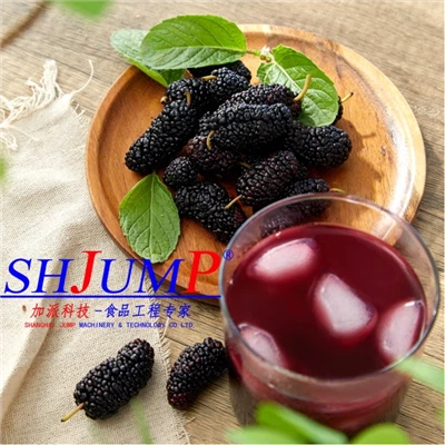 Jus Produksi Jus Mulberry