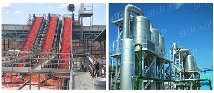 Jalur Pembuatan Konsentrasi Pasta Tomat Solusi Turnkey